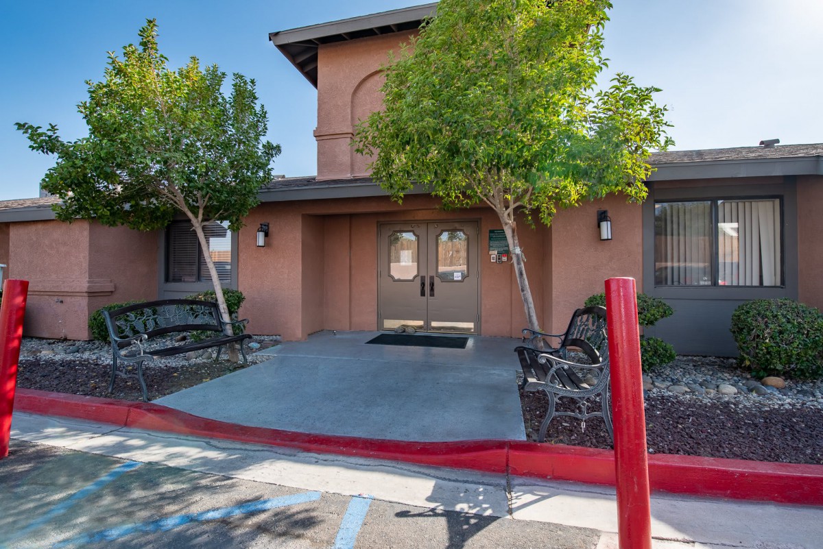 A building entrance with two trees and benches on either side of the paved pathway.