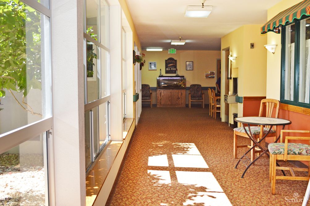 A sunlit hallway with a seating area and carpeted floor.