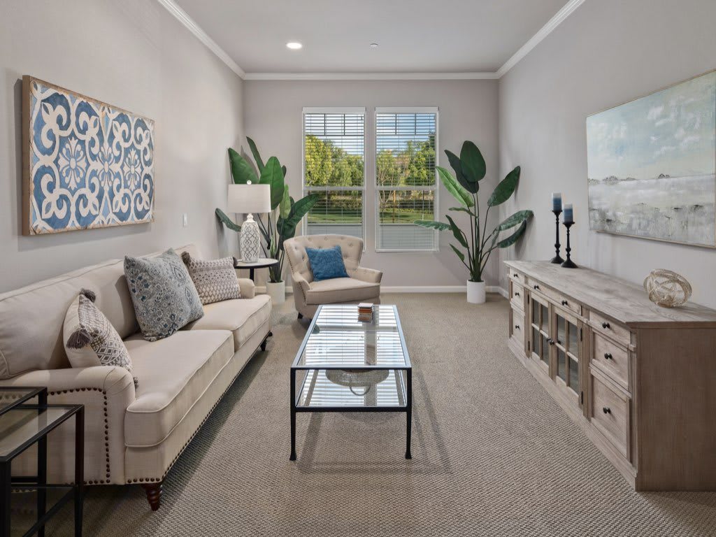A modern living room with a comfortable sofa, coffee table, and decorative plants.