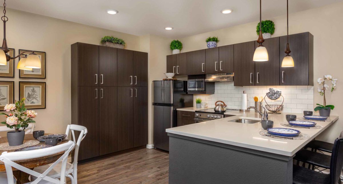 A modern kitchen with dark cabinets, stainless steel appliances, and elegant lighting.