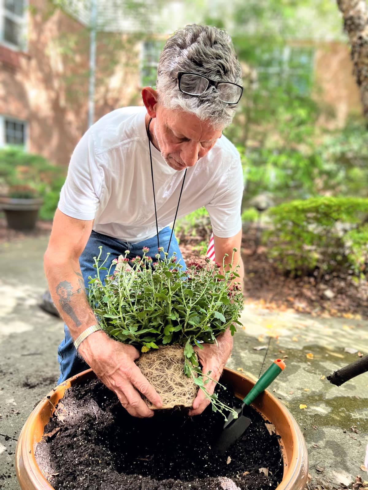 A person is carefully planting a shrub into a pot in an outdoor garden setting.