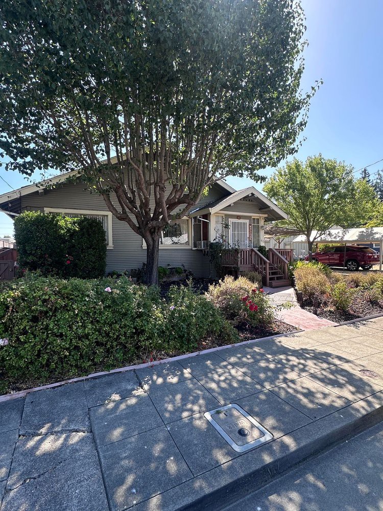 A charming house with a well-maintained front yard, featuring lush greenery and a pathway on a sunny day.