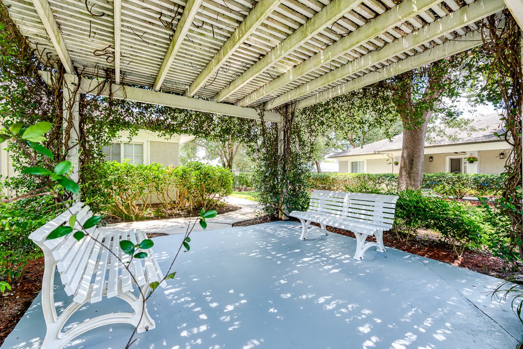 A serene outdoor space with a pergola, featuring vine-covered beams and white benches for seating.