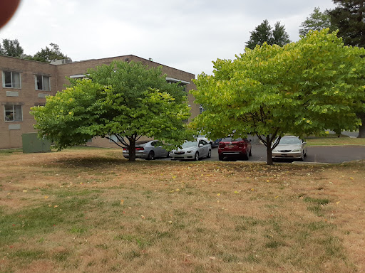A view of a parking lot with several cars nestled between green trees on a cloudy day.