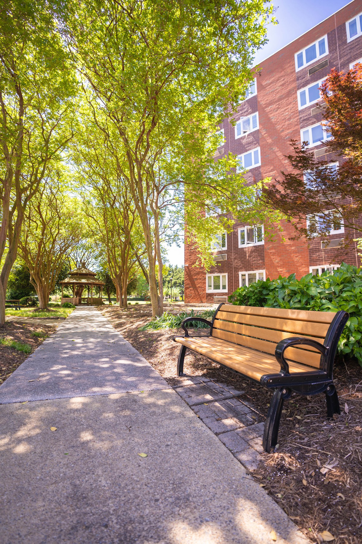 A tranquil park scene with a bench along a tree-lined pathway near an apartment building.