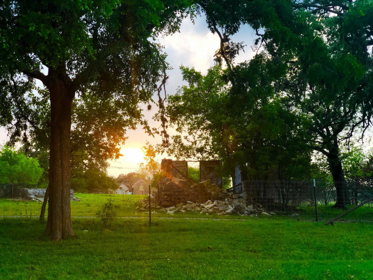 A serene sunset view through the trees, with vibrant green grass in the foreground.