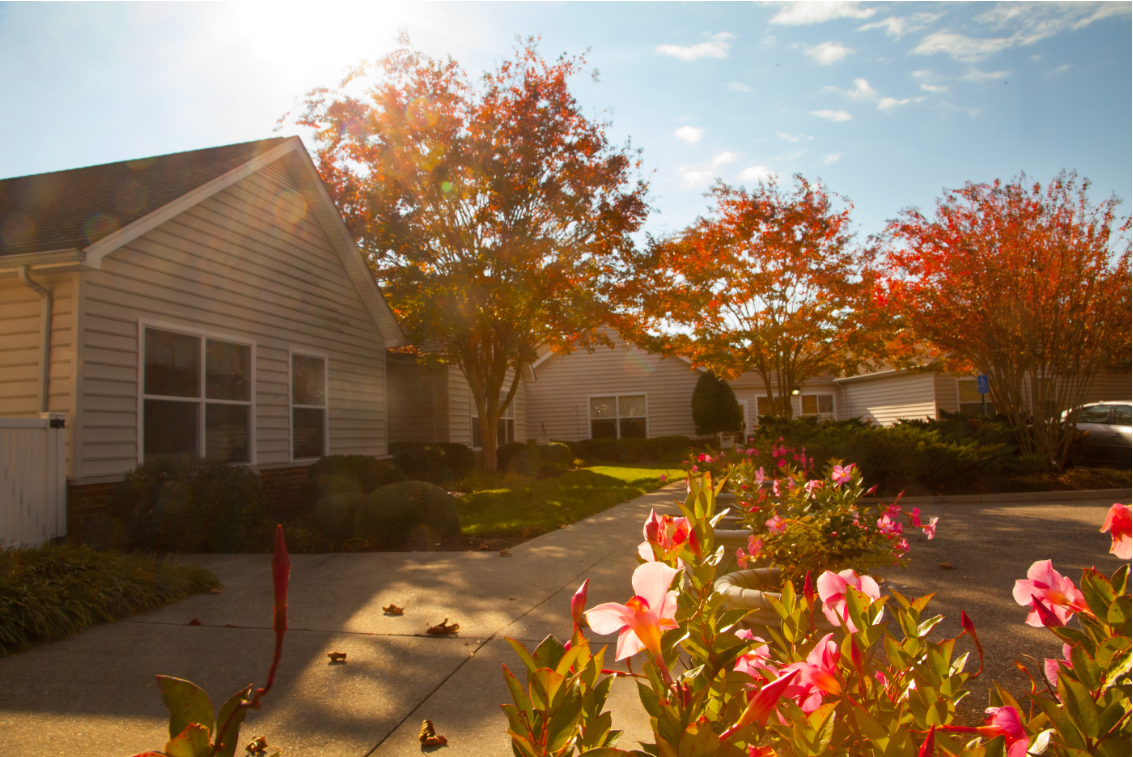 A picturesque suburban scene with autumn foliage and vibrant flowers.