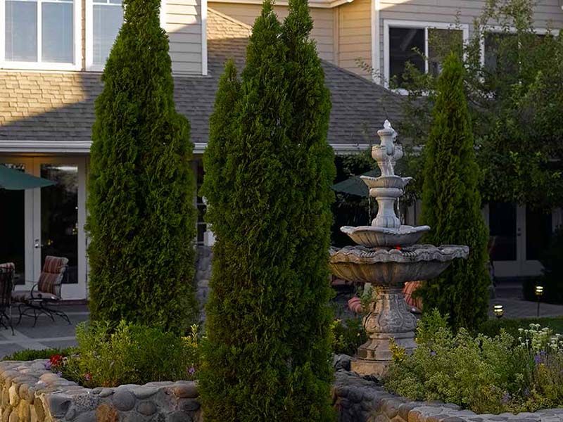 A serene garden scene with tall trees and a decorative fountain in front of a house.