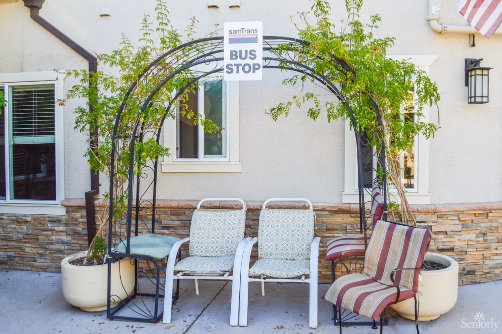 A makeshift bus stop with chairs and a sign, surrounded by plants.