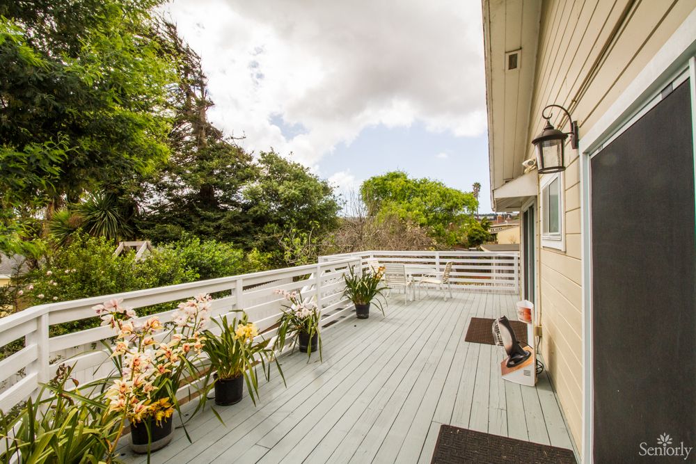 A spacious outdoor deck with potted plants, surrounded by lush greenery and a clear sky.