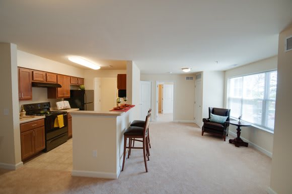 A spacious apartment with an open-plan living room and kitchen area.
