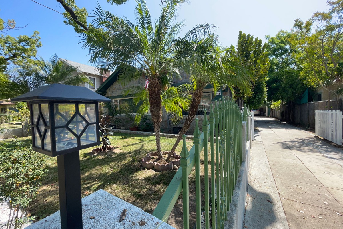 A sunny garden scene with palm trees, a green fence, and a lamp post along a paved pathway.