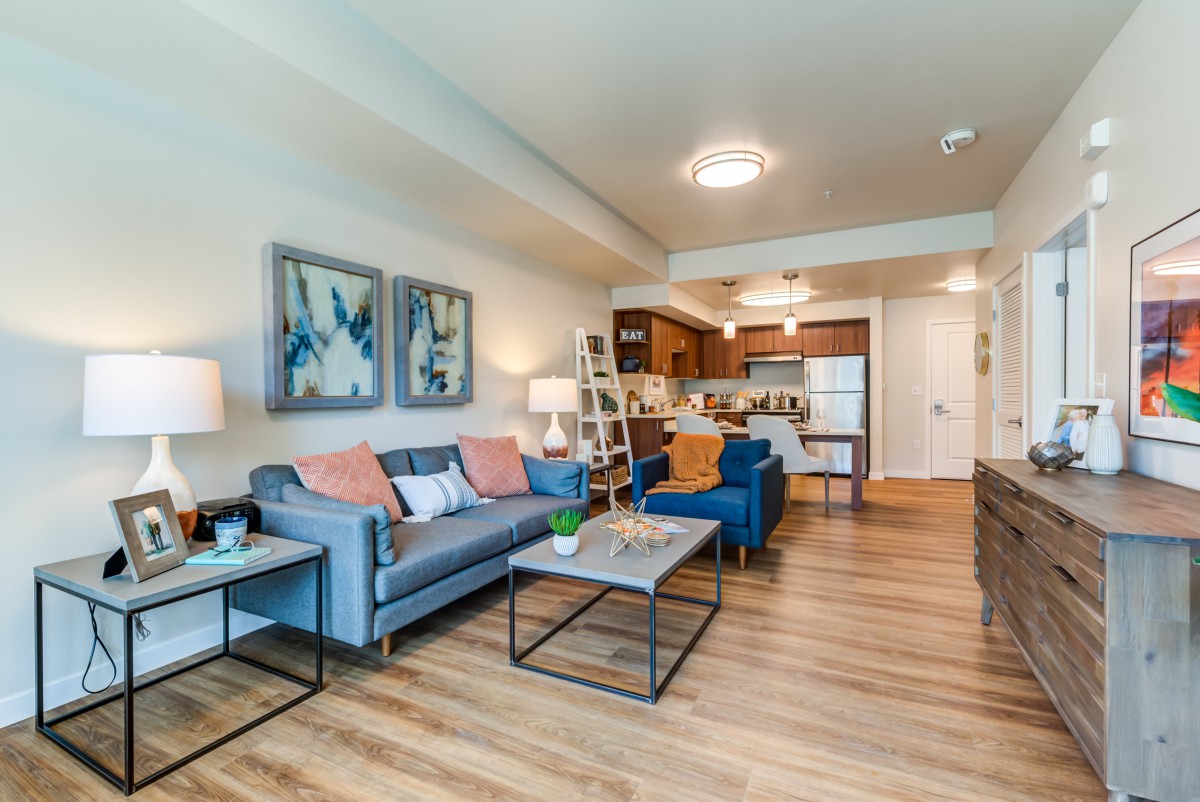 A modern apartment living room with an open floor plan, featuring a comfortable sofa, colorful cushions, and a view of the kitchen.
