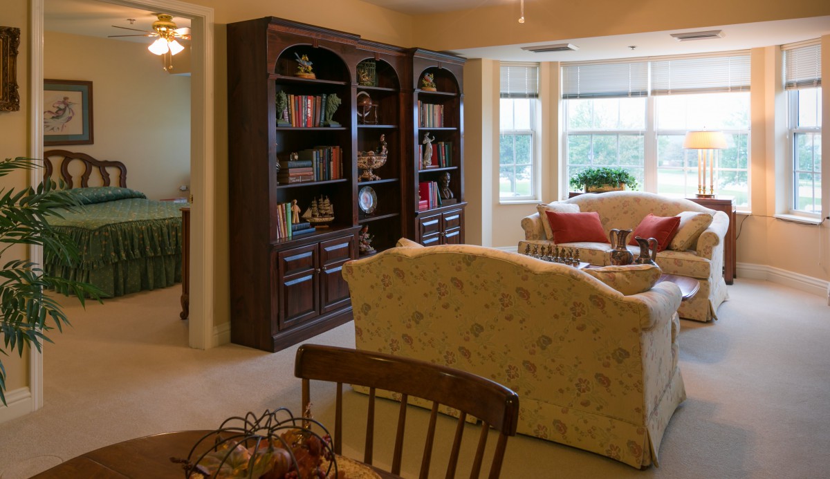 A cozy living room with large bookshelves, a comfortable sofa, and plenty of natural light.