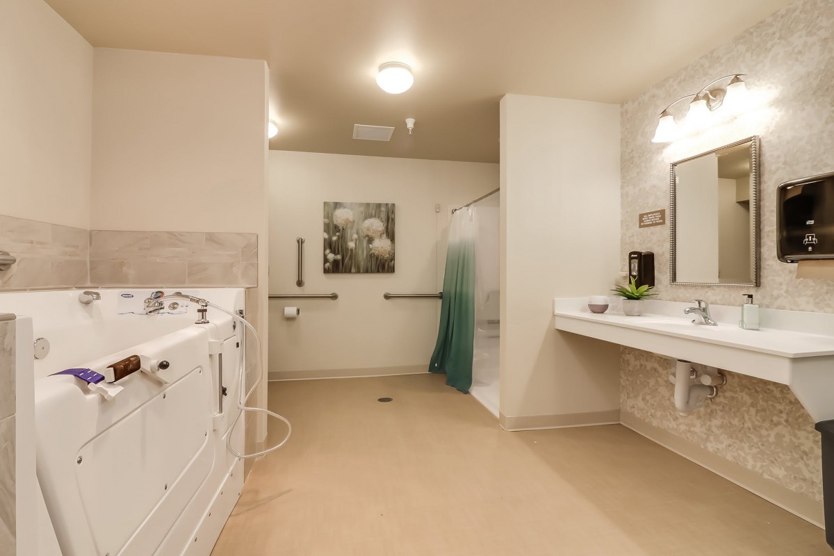 An accessible bathroom with a walk-in shower, equipped with grab bars and a modern sink area.
