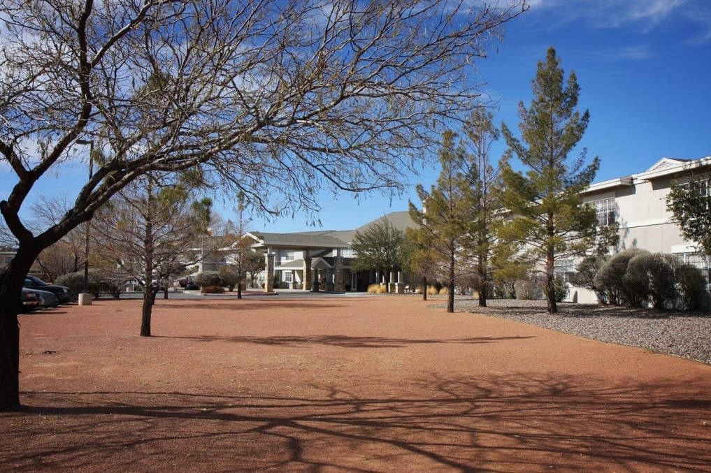 A quiet park scene with trees and a building in the background on a sunny day.