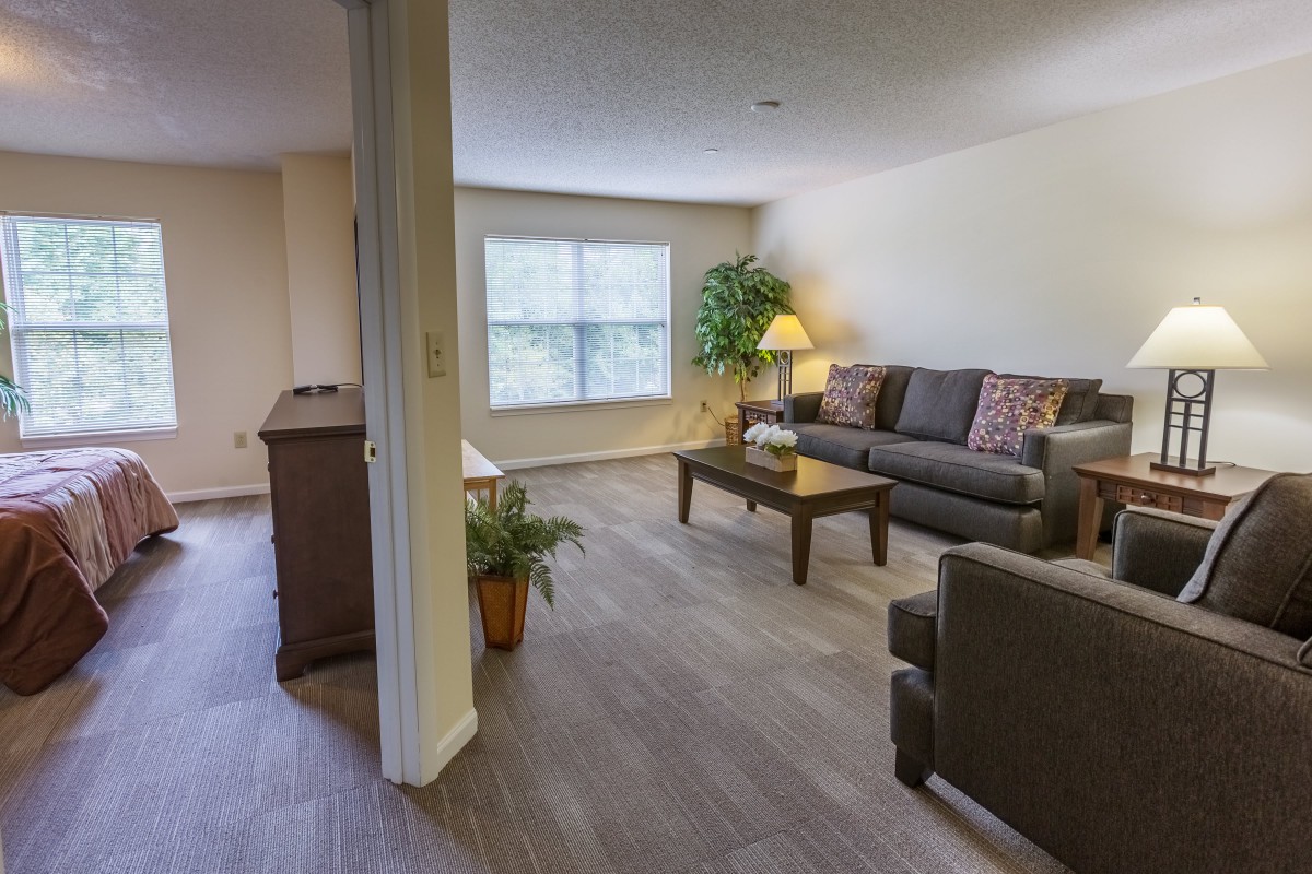 A cozy living room with a sofa, coffee table, lamp, and houseplants on wood flooring.