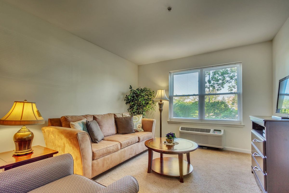 A bright and cozy living room with a sofa, coffee table, lamp, and indoor plant next to a large window.