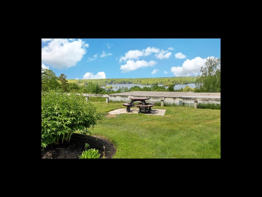 A serene park setting with a wooden bench, surrounded by lush greenery and under a bright blue sky with fluffy clouds.