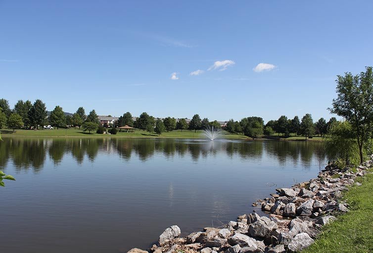 A serene lake reflecting the blue sky and surrounding trees.
