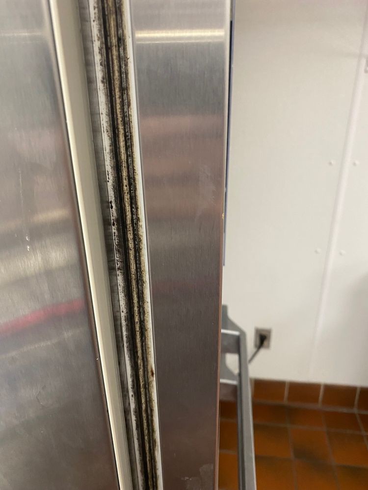 Close-up of a refrigerator door seal with visible mold.