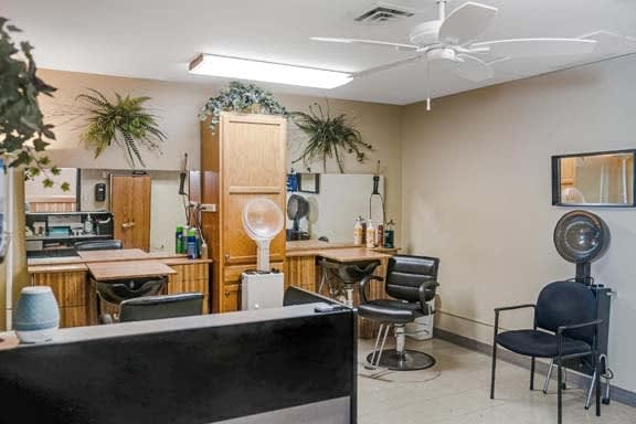 An interior view of a hair salon featuring workstations with chairs, mirrors, and decorative plants.