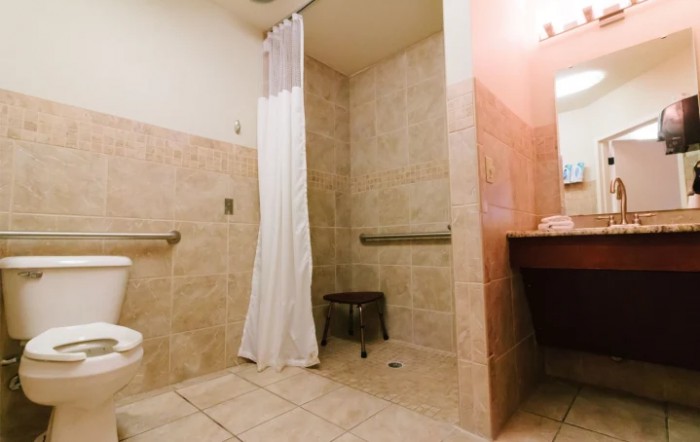A spacious and accessible bathroom featuring a walk-in shower with grab bars, a tiled floor, and a curtain.