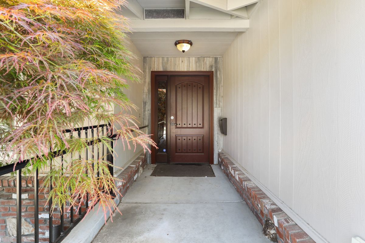 A residential entrance with a wooden front door and surrounding plants.