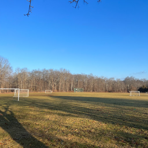 A tranquil soccer field under a clear blue sky, surrounded by trees.