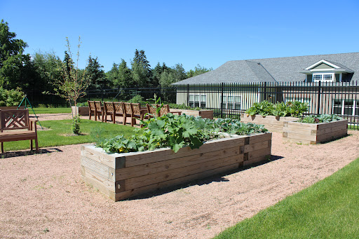 A sunny community garden featuring raised vegetable beds and a serene outdoor seating area.