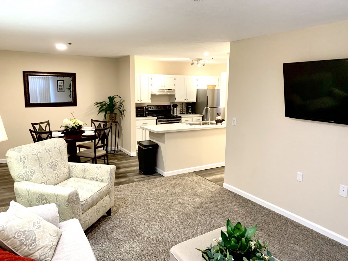 A modern open-layout living space with a cozy living room, dining area, and a kitchen.
