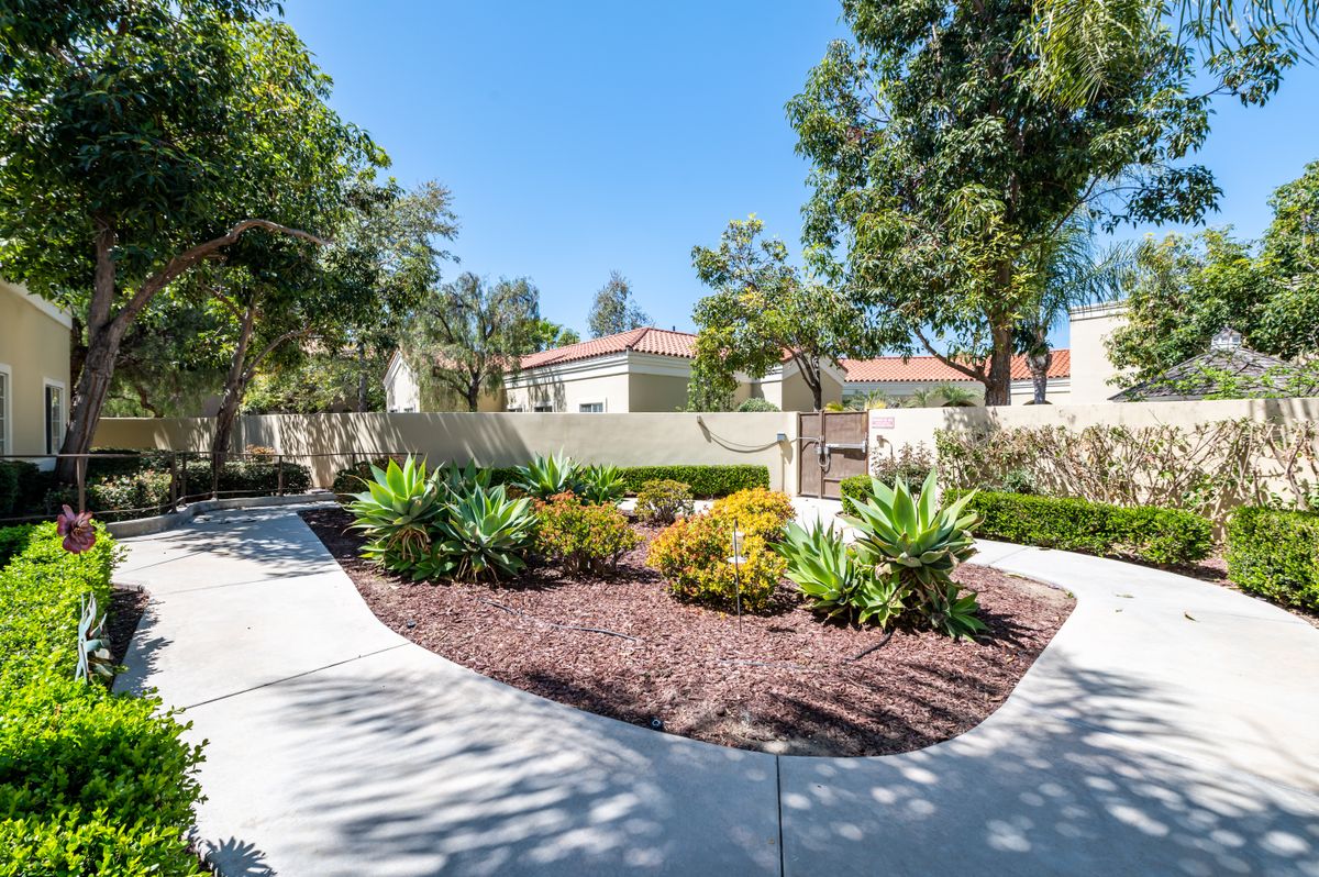 A sunny residential garden with a landscaped pathway and lush greenery.