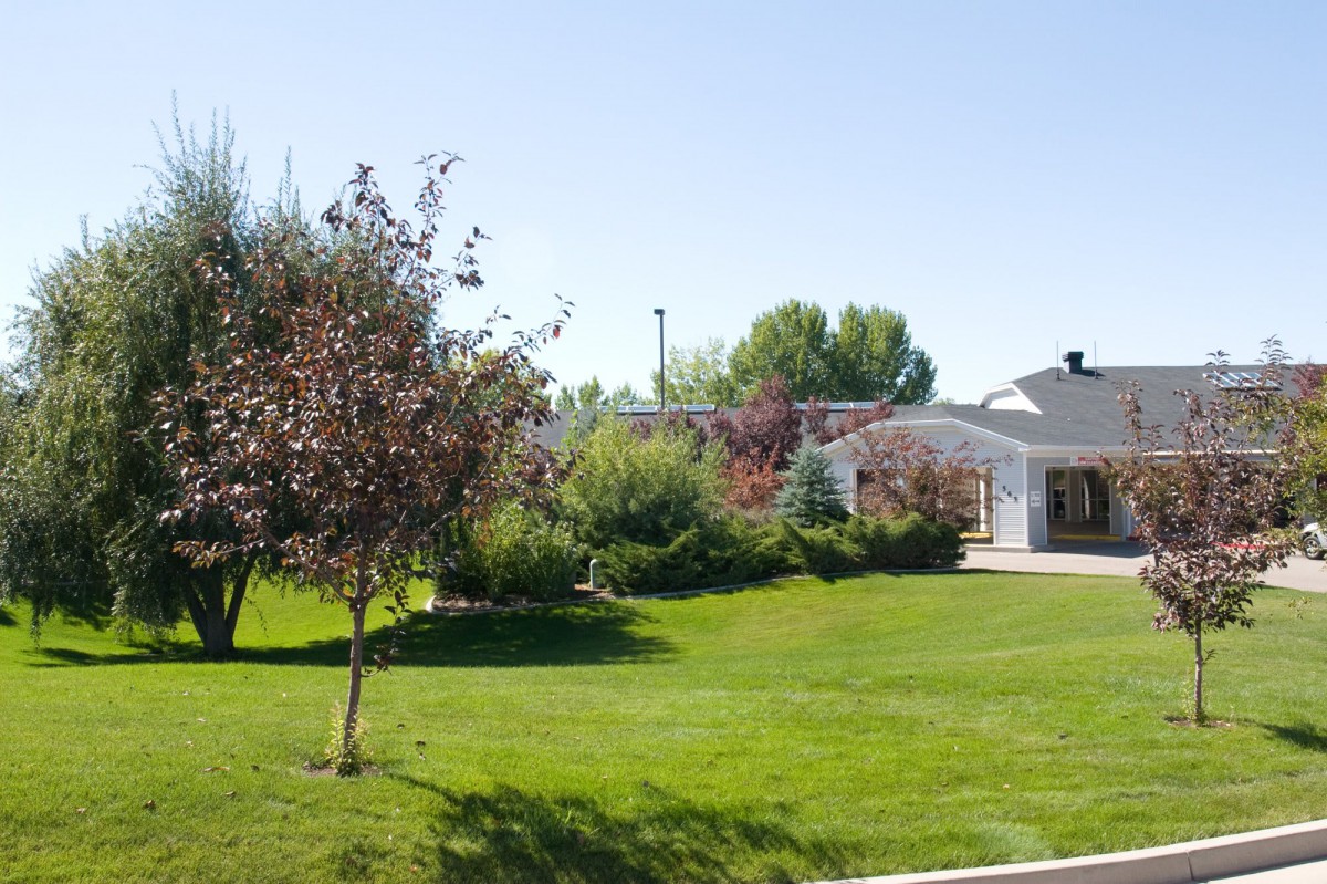 A well-maintained lawn and garden area in front of a suburban house.