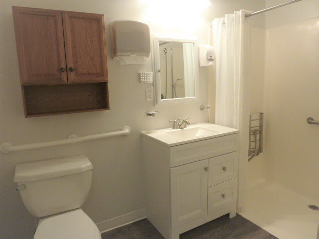 A clean and modern bathroom interior with a sink, mirror, toilet, cabinet, and shower.