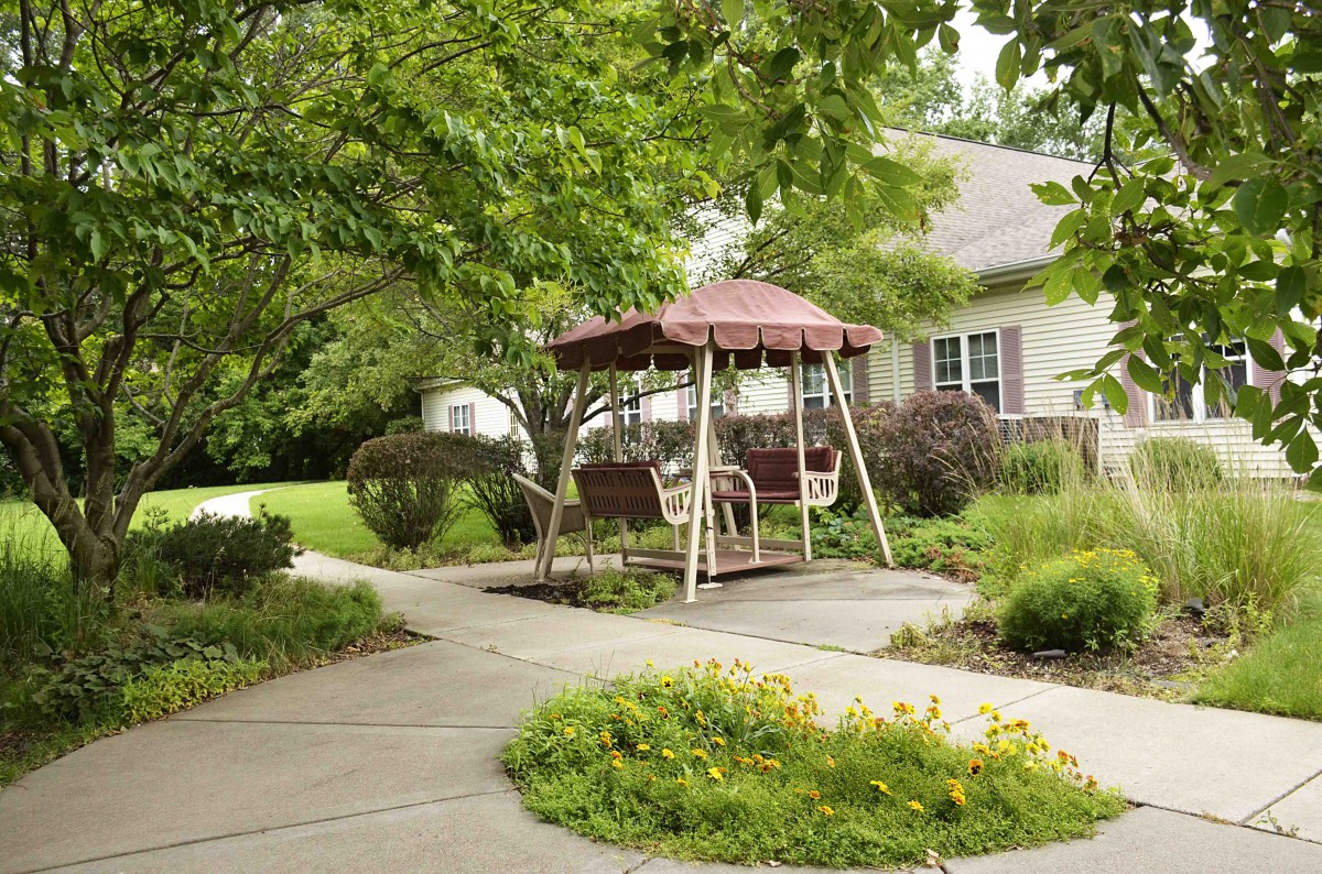 A serene garden setting featuring a covered swing along a winding pathway, surrounded by lush greenery and shrubs near a cozy home.