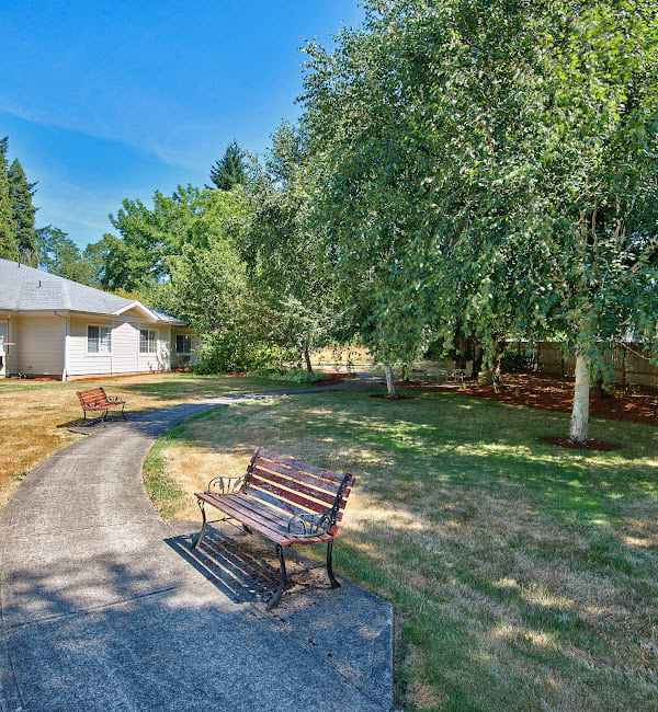 A peaceful park scene with a bench alongside a curved pathway surrounded by lush trees and a house in the background.
