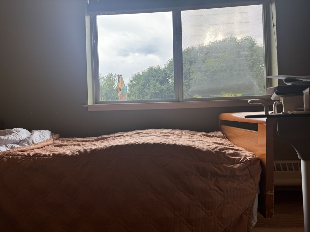 A cozy bedroom with a bed covered by a blanket, next to a window overlooking greenery.