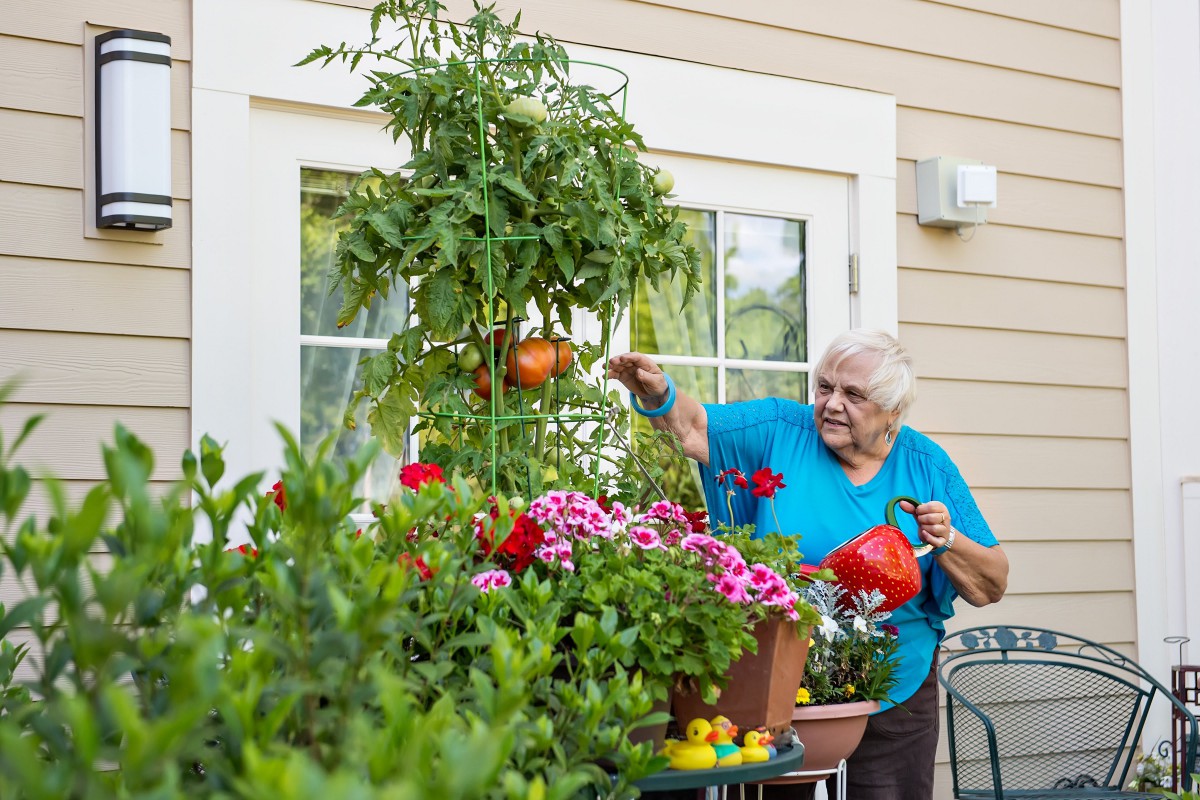A senior woman tending to her garden, watering various plants and flowers on a sunny day.