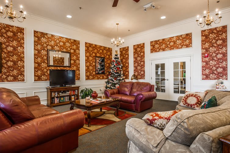 A cozy living room decorated for the holidays, featuring comfy sofas, a television, and a Christmas tree.