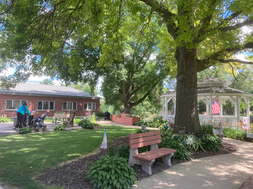 A serene garden setting featuring a bench under a lush tree, perfect for relaxation.