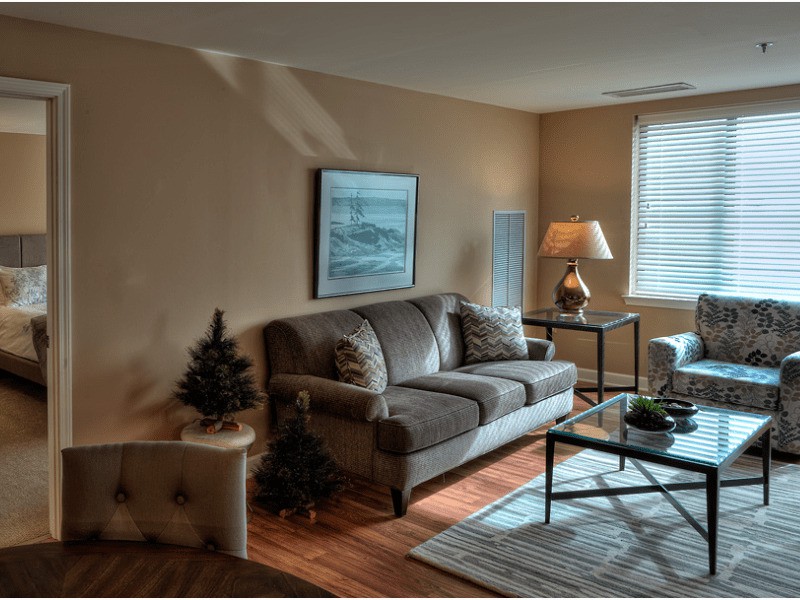 A cozy living room with a sofa, coffee table, and small Christmas trees.