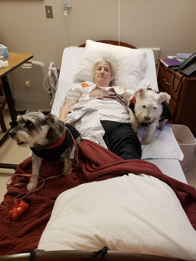 Maples Benzie Co Medical Care