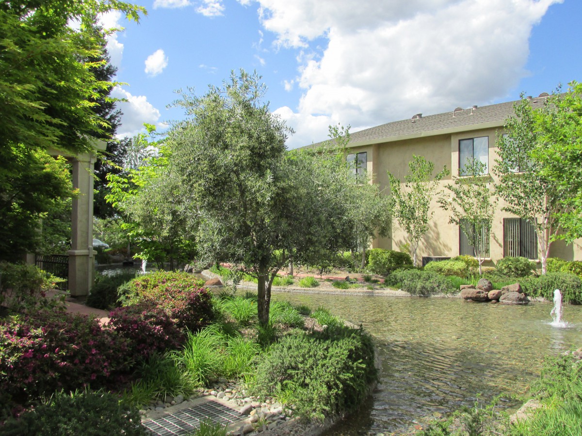 A serene garden scene with a pond and trees, set against a backdrop of a building under a partly cloudy sky.