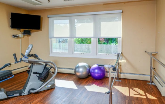 A bright home gym with a treadmill and exercise balls by the window.