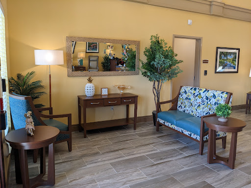 A cozy living room setup featuring comfortable seating, decorative plants, and warm lighting.