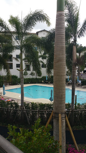 A serene view of a swimming pool surrounded by palm trees in an apartment complex.