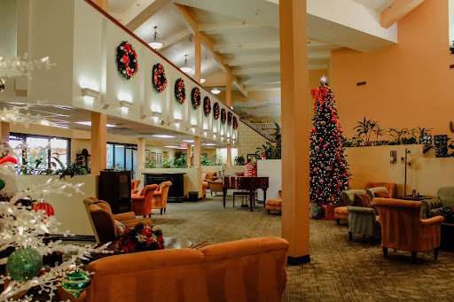 A cozy lobby decorated for the holiday season featuring a Christmas tree and festive wreaths.