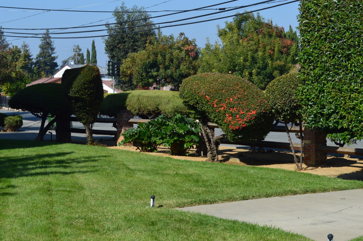 Bonnevie Residence Care