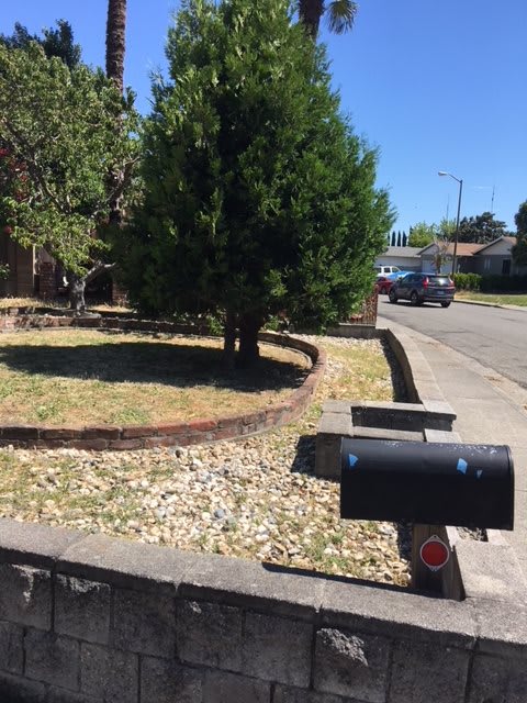 A suburban street with a mailbox, tree, and driveway in view.