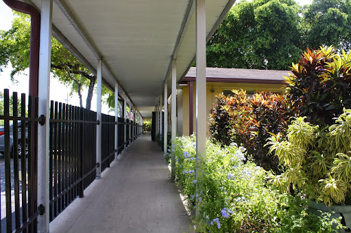 A peaceful hallway lined with greenery and flowers, leading to a building.